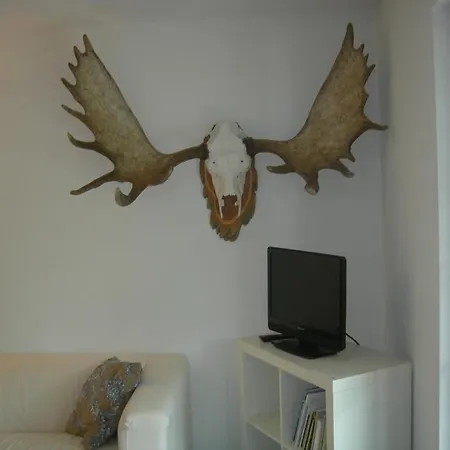 Chesigna 3 Apartamento